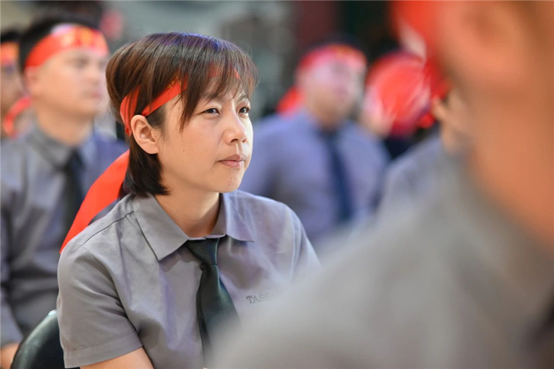 塔薩尼藝術塗料
