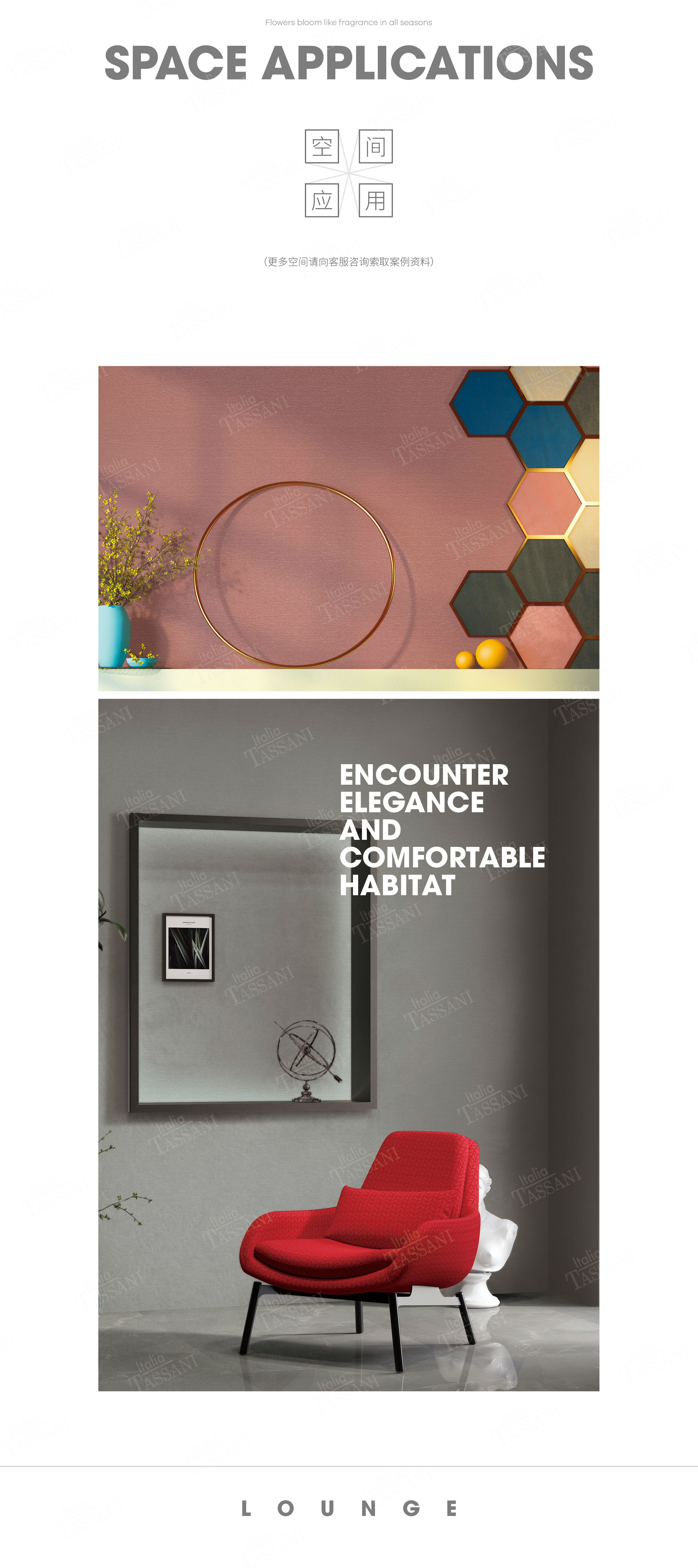 意大利進口藝術漆